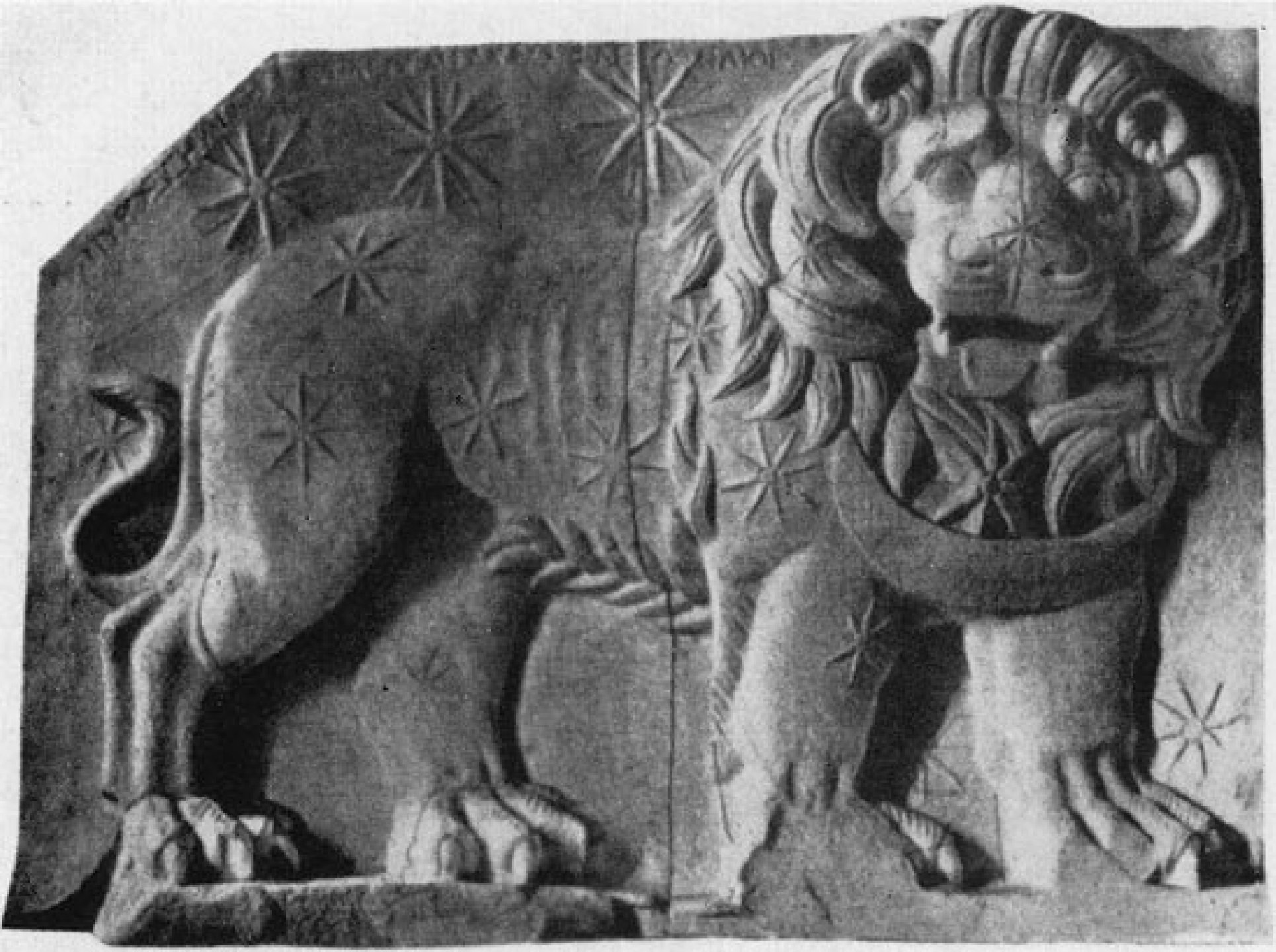 Lion relief from Nemrud Dag