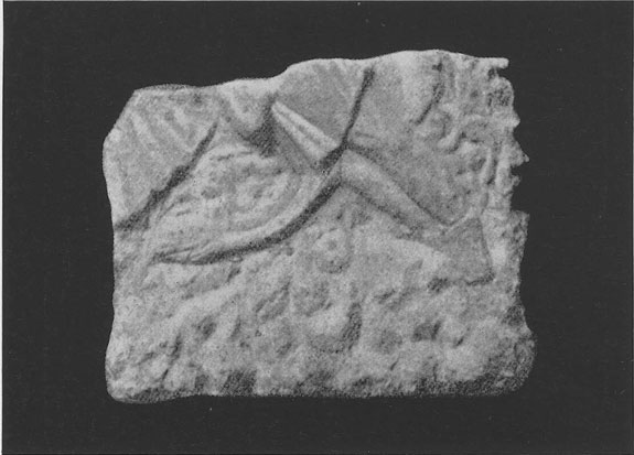 Vermaseren's Corpus CIMRM 397