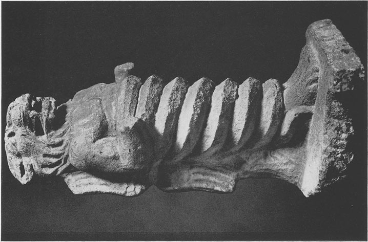 Vermaseren's Corpus CIMRM 550