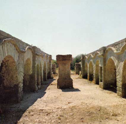 General view of the Vulci Mithraeum