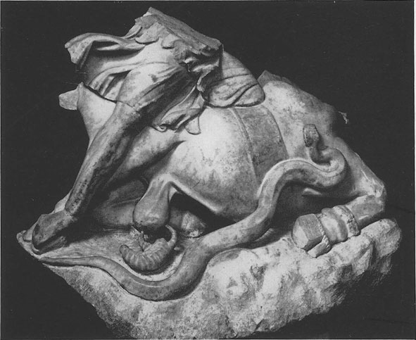 CIMRM Fragment of tauroctony from S. Giovanni.